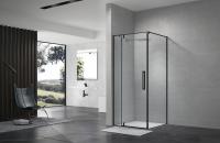 Terminus Душевой уголок распашной Альба 03 900х900х2200 квадрат черный