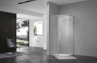 Terminus Душевой уголок распашной Альба 04 1000х1000х2200  трапеция хром