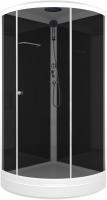Душевая кабина Domani-Spa Simple 99 / DS01Sm99LBT00 (черный/тонированное стекло)